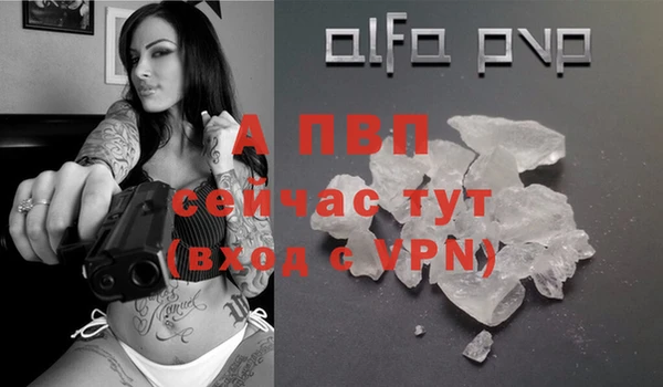 молекула духа Богданович