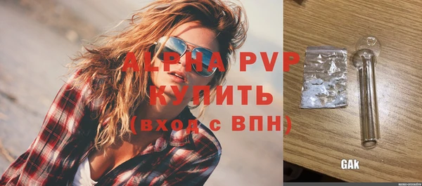 молекула духа Богданович