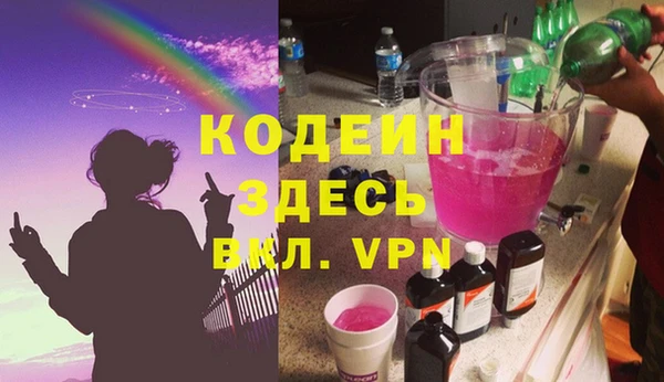 молекула духа Богданович
