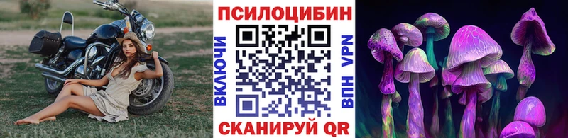 Псилоцибиновые грибы мухоморы  Каргат 