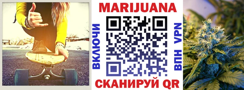 Бошки марихуана OG Kush  как найти закладки  Каргат 